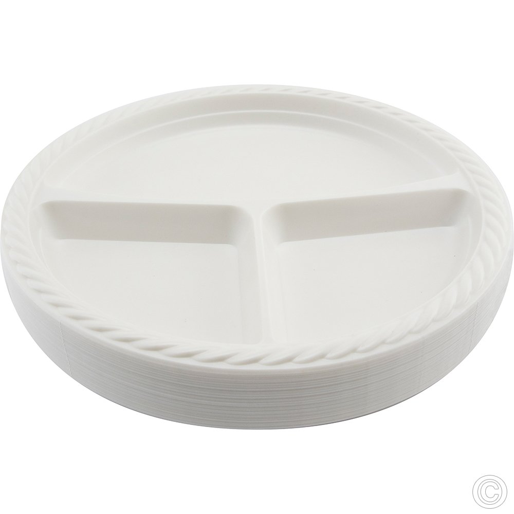 Reusable Plastic Plate 10