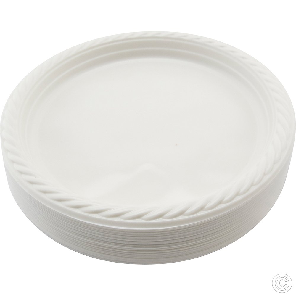 Reusable Plastic Plate 9
