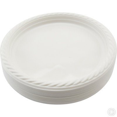 Reusable Plastic Plate 9