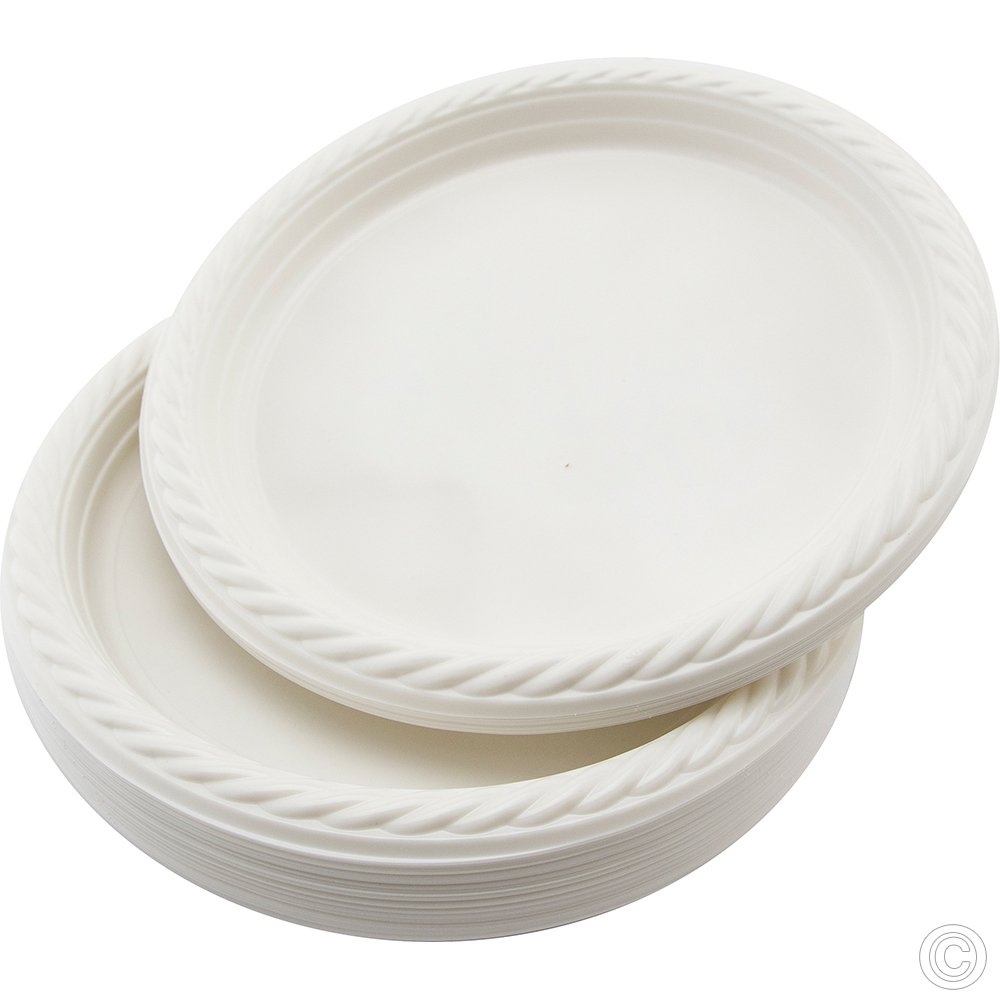 Reusable Plastic Plate 9