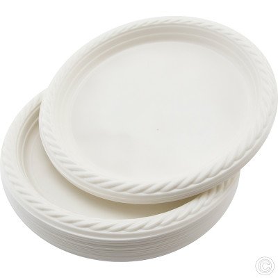 Reusable Plastic Plate 9