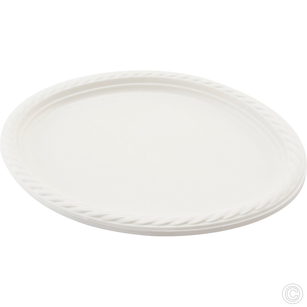 Reusable Plastic Plate Oval 8 Pack