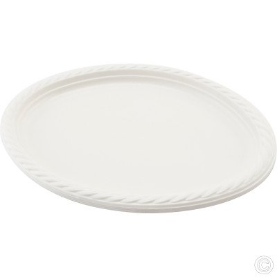 Reusable Plastic Plate Oval 8 Pack