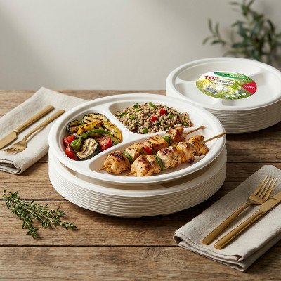 Compostable Bagasse Plate 10