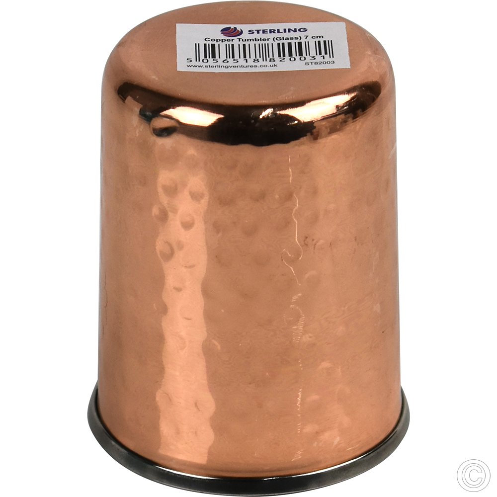 Copper Steel Tumbler (Glass)