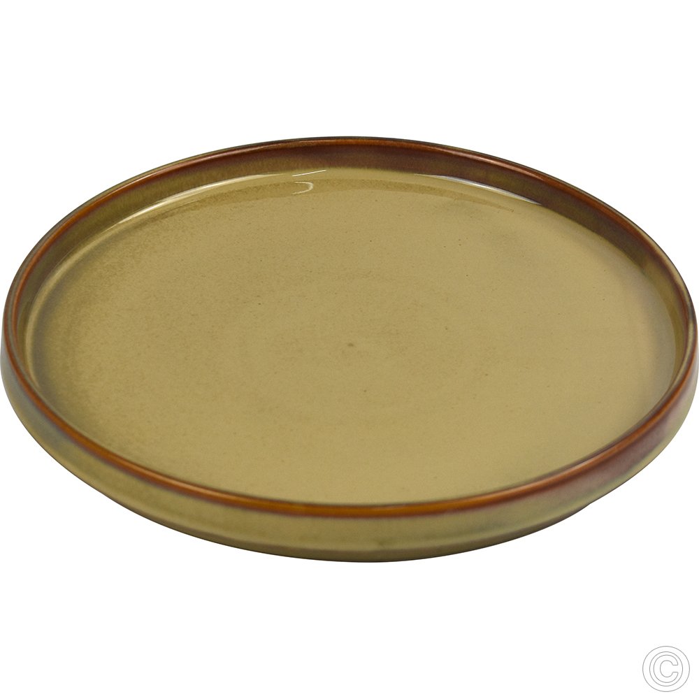 Porcelain Straight Edge Plate 260MM 10