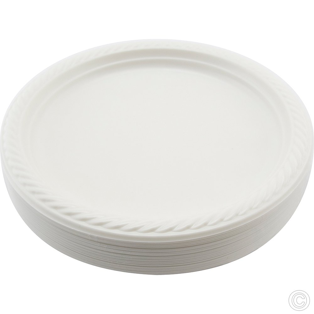 Reusable Plastic Plate 10