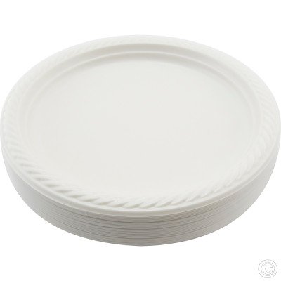 Reusable Plastic Plate 10