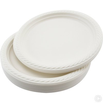 Reusable Plastic Plate 10